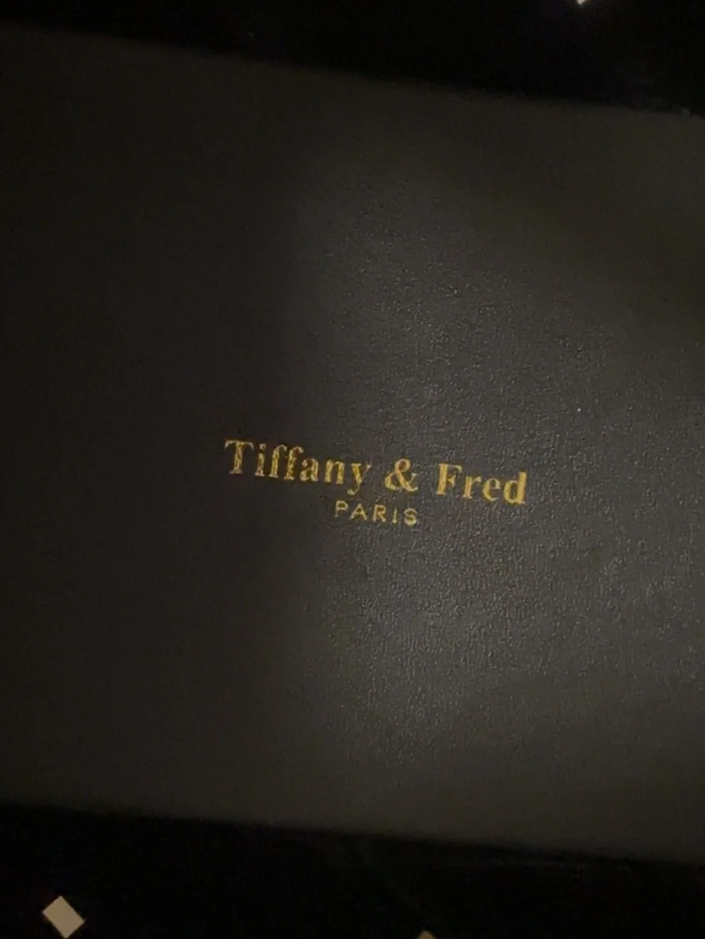 Tiffany & Fred Paris Smooth & Perforated Leather Bag (Mint Condition)